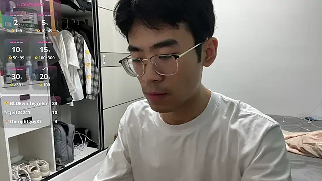 _Libre_ webcam