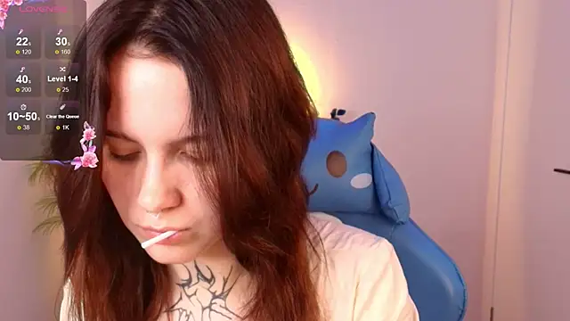 Elastikiss webcam