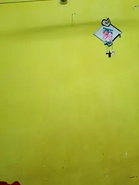 Stepbhabhi webcam