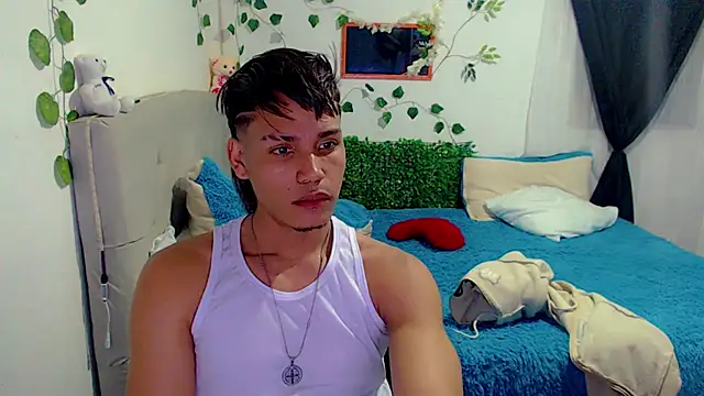 Ianber webcam