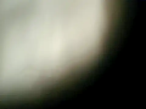 Lilirose-63 webcam