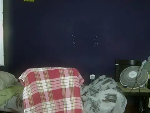 turkishTransEfsun webcam