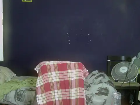 turkishTransEfsun webcam
