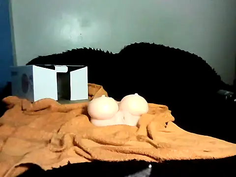 DaGP222 webcam