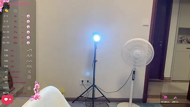 Yik-11 webcam