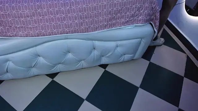 extasis_tif webcam