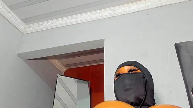 XPanther_24 webcam
