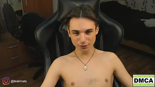 teelimata webcam