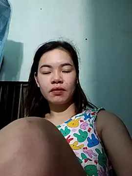 Hdunh webcam
