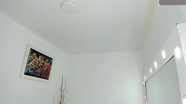 Maxi_milan01 webcam