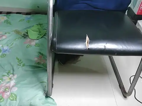 PreetyKitten webcam