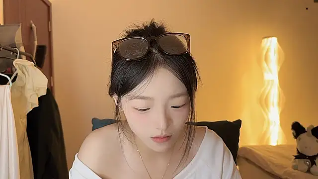 Robin-o3 webcam