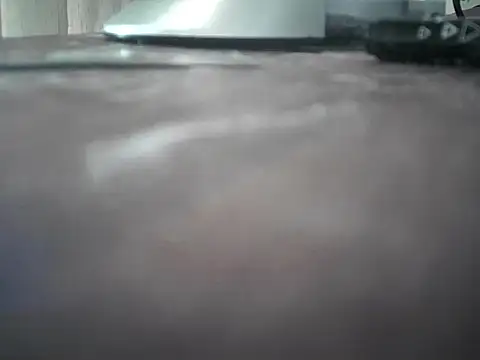 FerPresto webcam