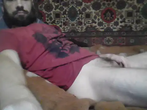 AlferezzSolvajo webcam