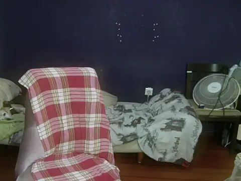 turkishTransEfsun webcam