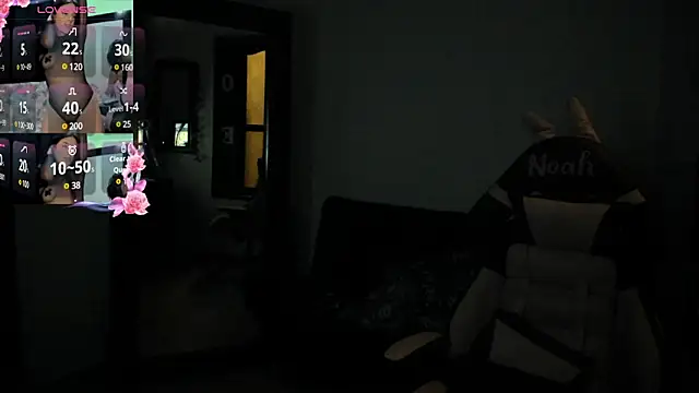 NoahWilliams_ webcam
