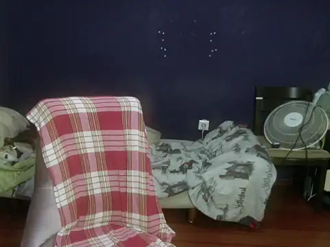 turkishTransEfsun webcam