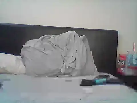 Eclipticice94 webcam