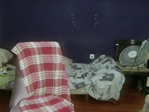 turkishTransEfsun webcam