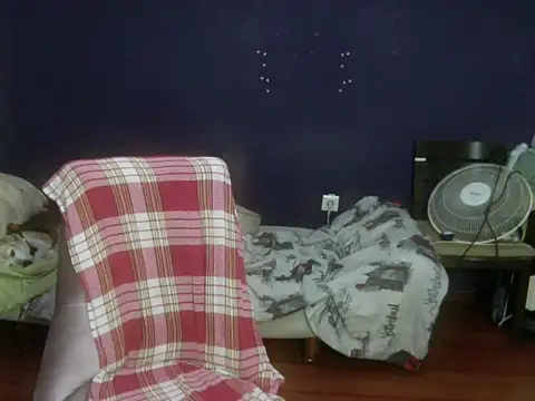 turkishTransEfsun webcam