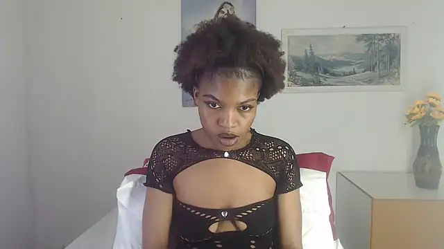 SATHIVA webcam