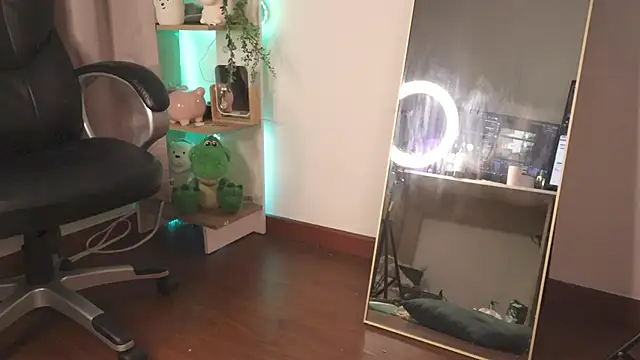 Miila_snow webcam
