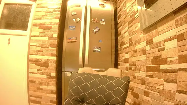 JojoFit webcam