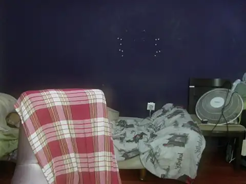 turkishTransEfsun webcam