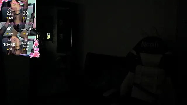 NoahWilliams_ webcam