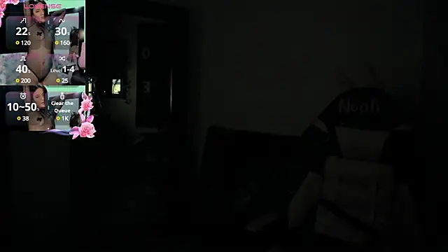 NoahWilliams_ webcam