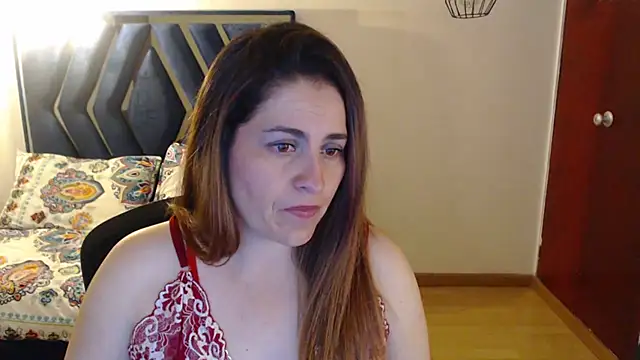 dayanhank webcam