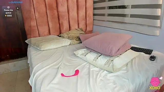 lou_rosse_ webcam