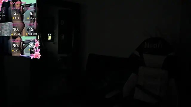 NoahWilliams_ webcam