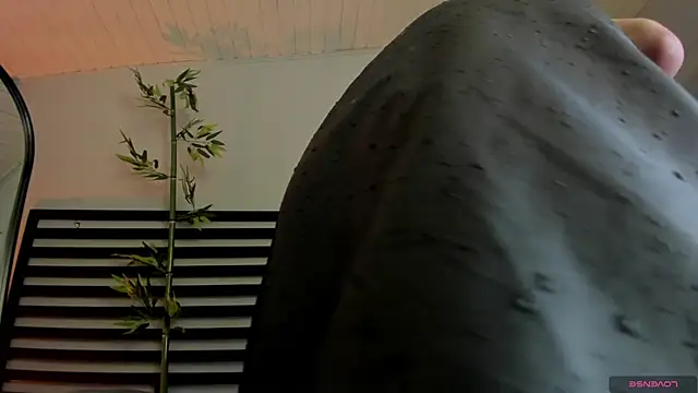 Catyloves webcam