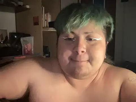 dirteeBee webcam