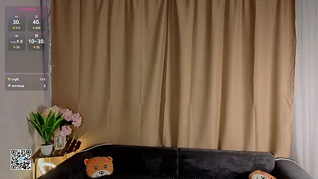 DarelColl webcam