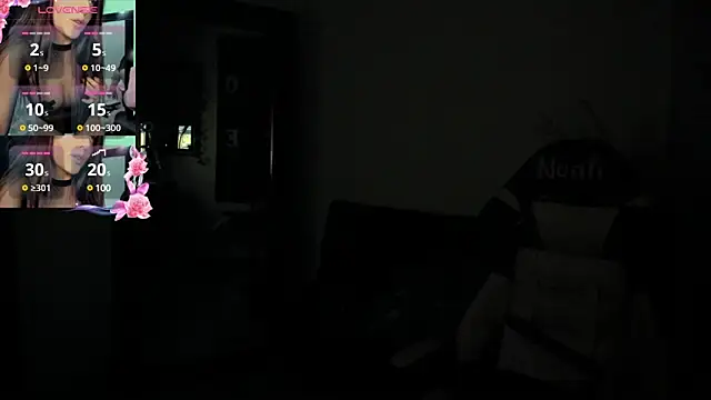 NoahWilliams_ webcam