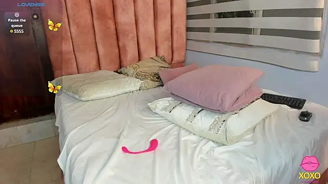 lou_rosse_ webcam