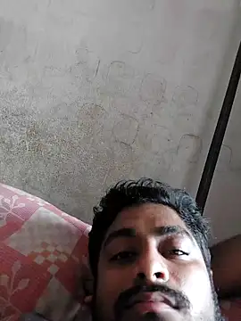 lm12334 webcam