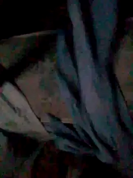 calme_odl1 webcam