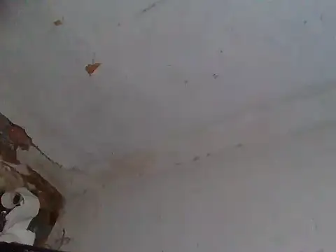 AlanDickson webcam