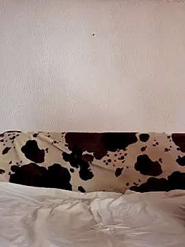 Zgodanilep webcam