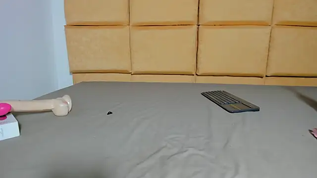 Meisy_js webcam