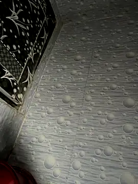 NoddingScorpion webcam