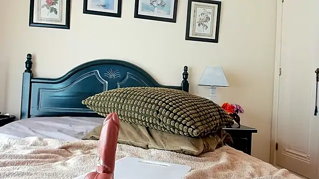 adarabu webcam