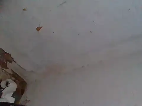 AlanDickson webcam