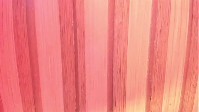 charlotte__Taylor__ webcam