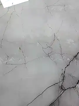 PracticalGum40 webcam