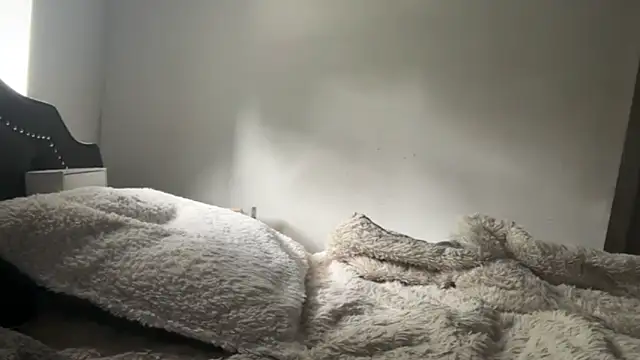 NazDog webcam
