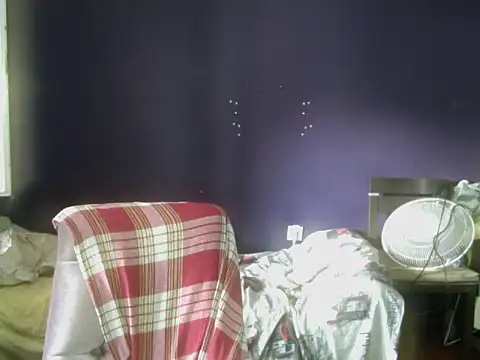 turkishTransEfsun webcam